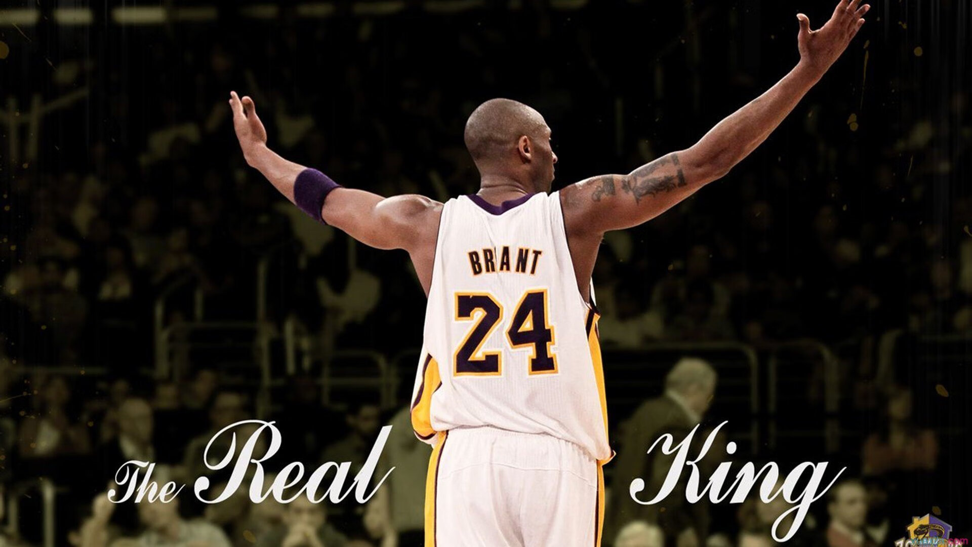 “马科斯·莫奇的压迫性防守和领袖气质，成就阿根廷美洲狮队未来”