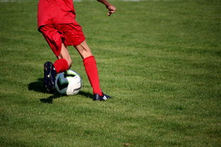 开云体育中国-中国足球青训体系引进国际先进训练理念，中国足球青训体系是什么